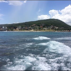 Meet your Posher, Dawn